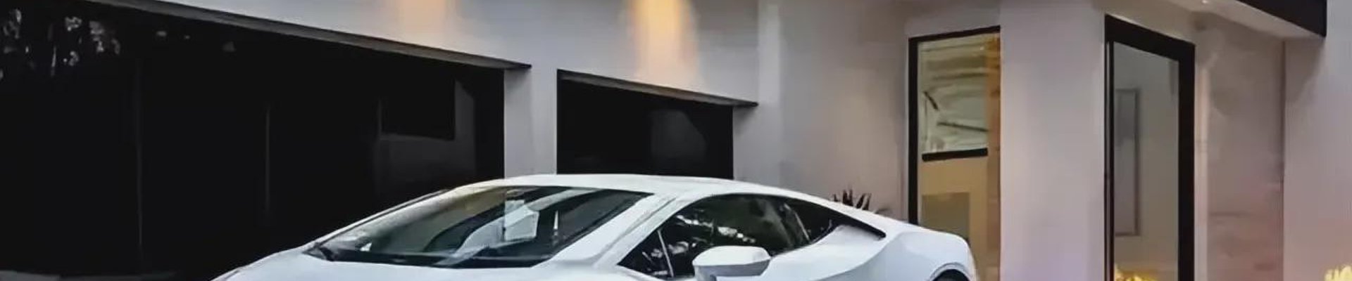 项目案例